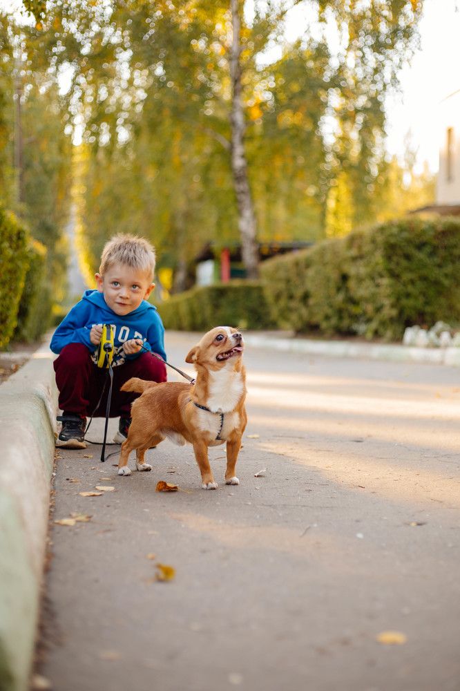 Photograph by Ксения Чикина