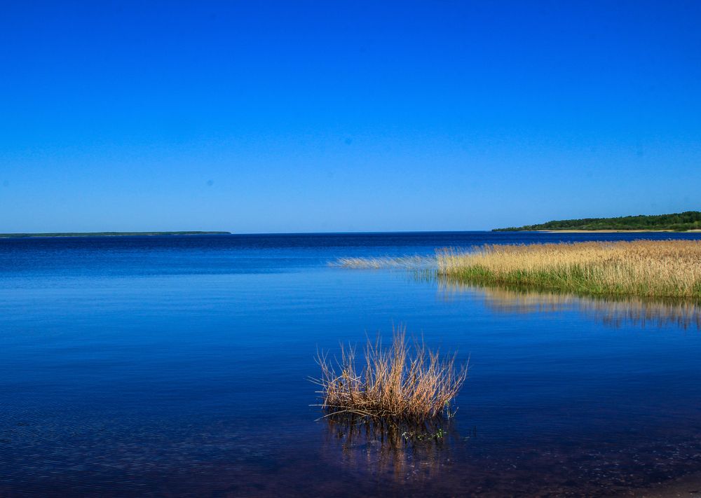 Photograph by Наталья Колеватова