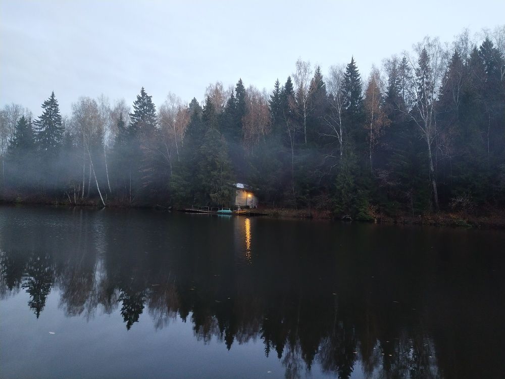 Photo #11342850