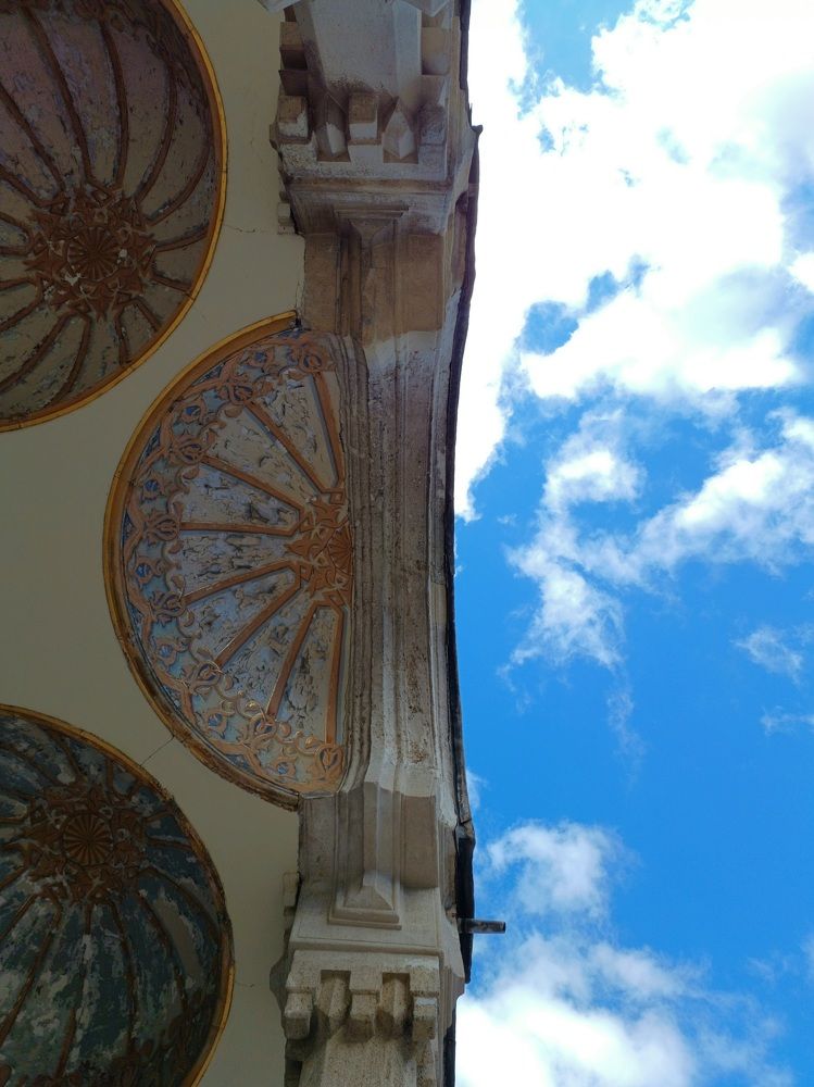 Photo #11342858