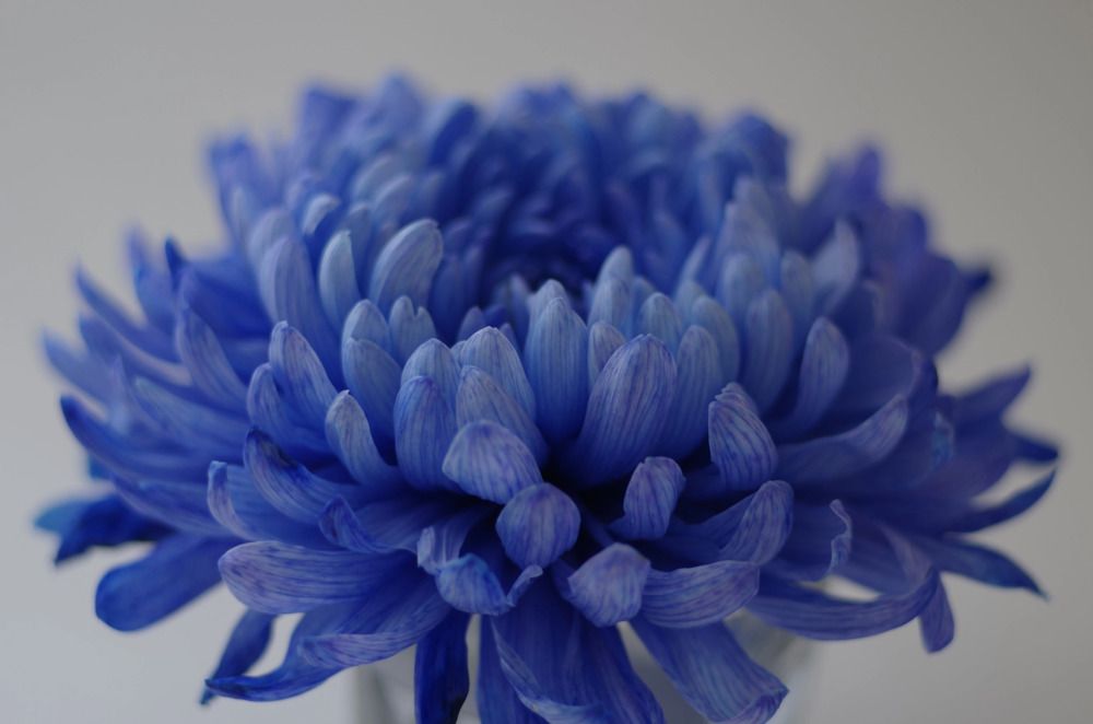 Photograph by Наталья Шумилова