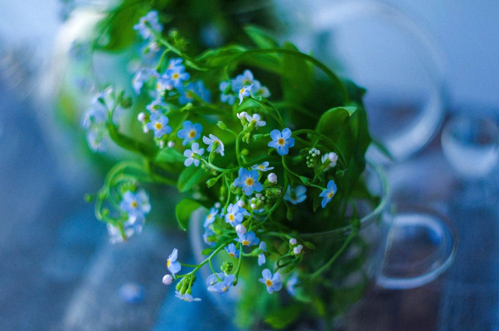 Photograph by Наталья Шумилова