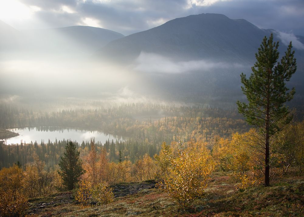 Фотография автора Ольга Белоусова