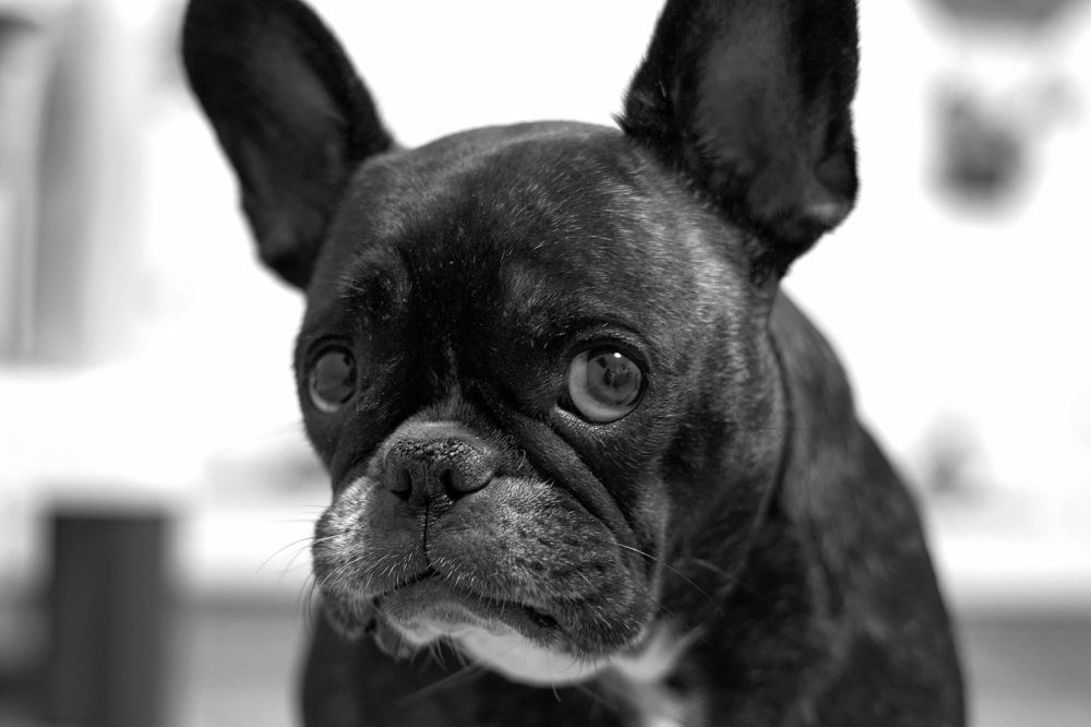 Photograph by Галина Искандарова