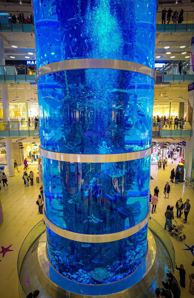 Photograph by Влад Апанасов