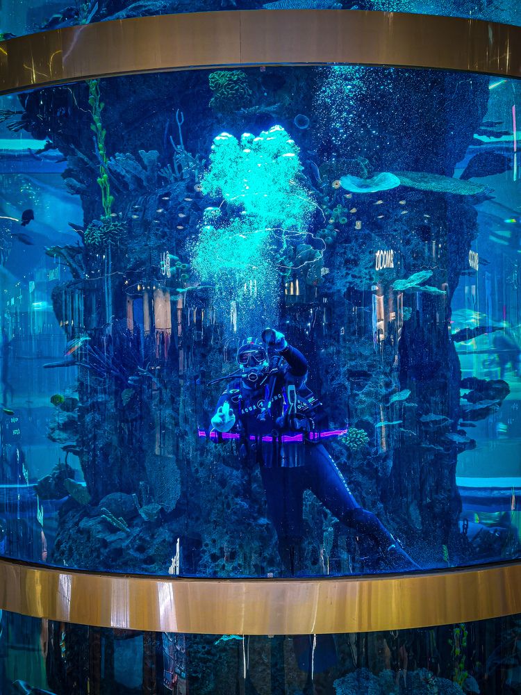 Photograph by Влад Апанасов