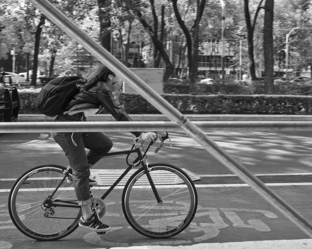 Photograph by Armando López-Guerrero