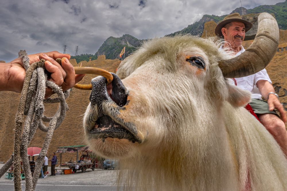 Photograph by Ольга Мусиенко