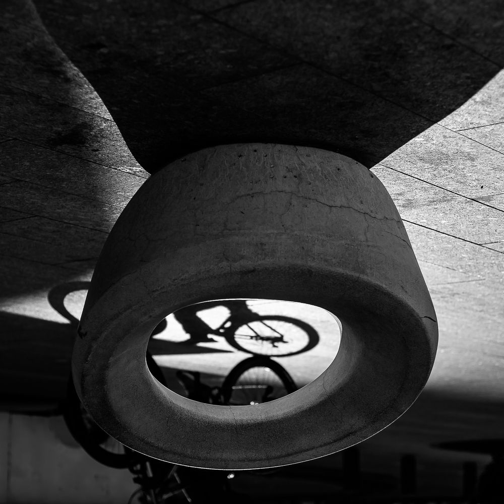 Photograph by Armando López-Guerrero