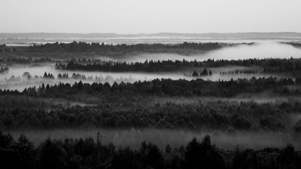 Photograph by Victoria Popkova