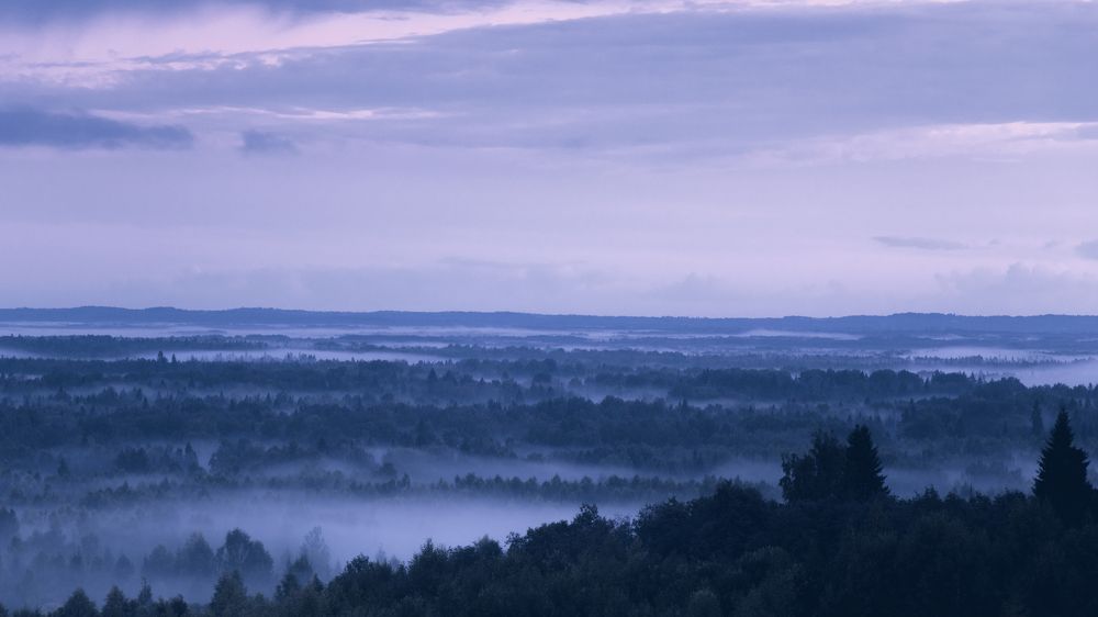 Photograph by Victoria Popkova