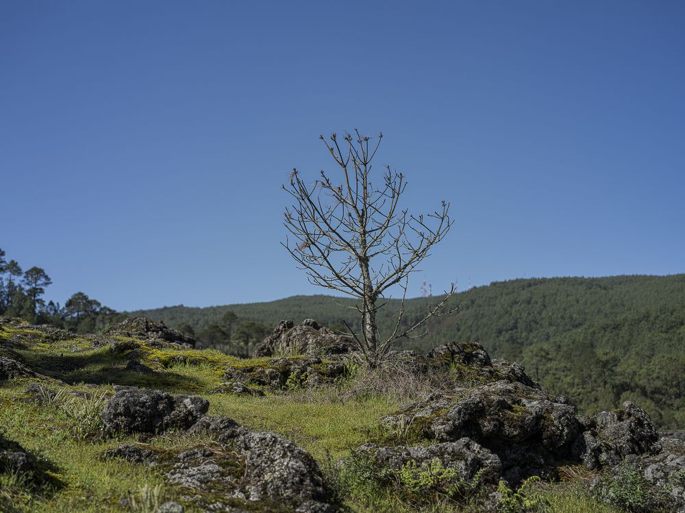 Photograph by Armando López-Guerrero