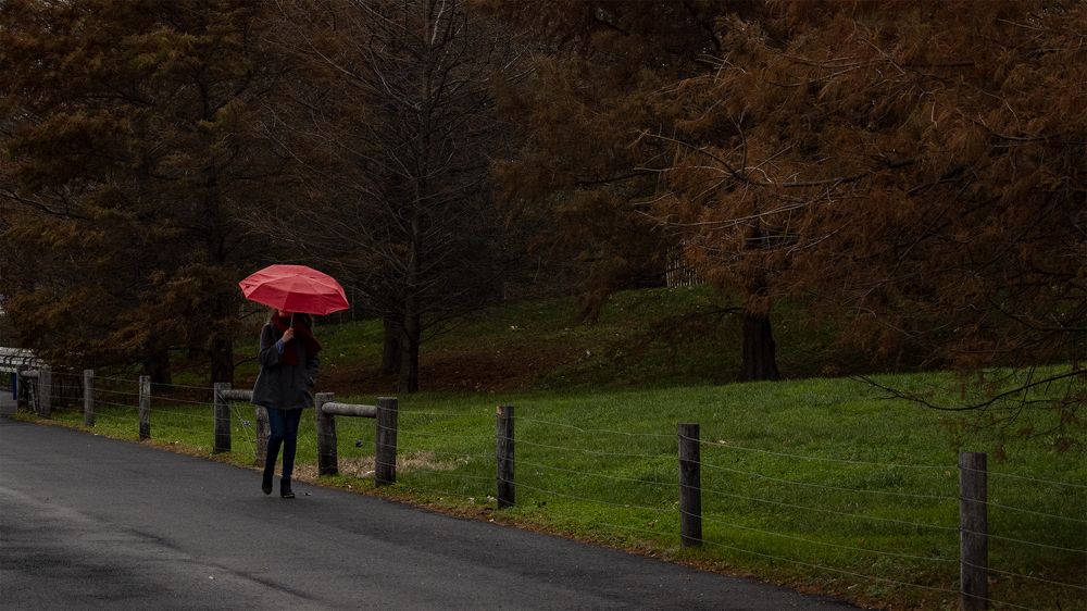 Photograph by Гришанов Пётр