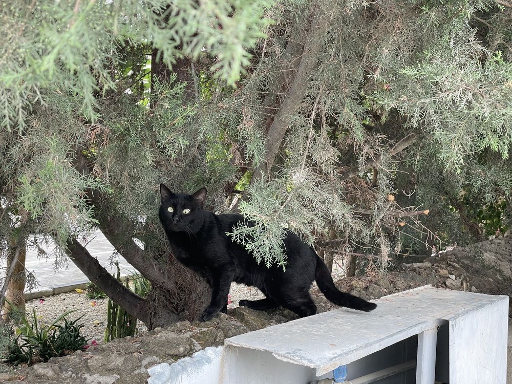 Photograph by Osazemen Godswill Osayogie