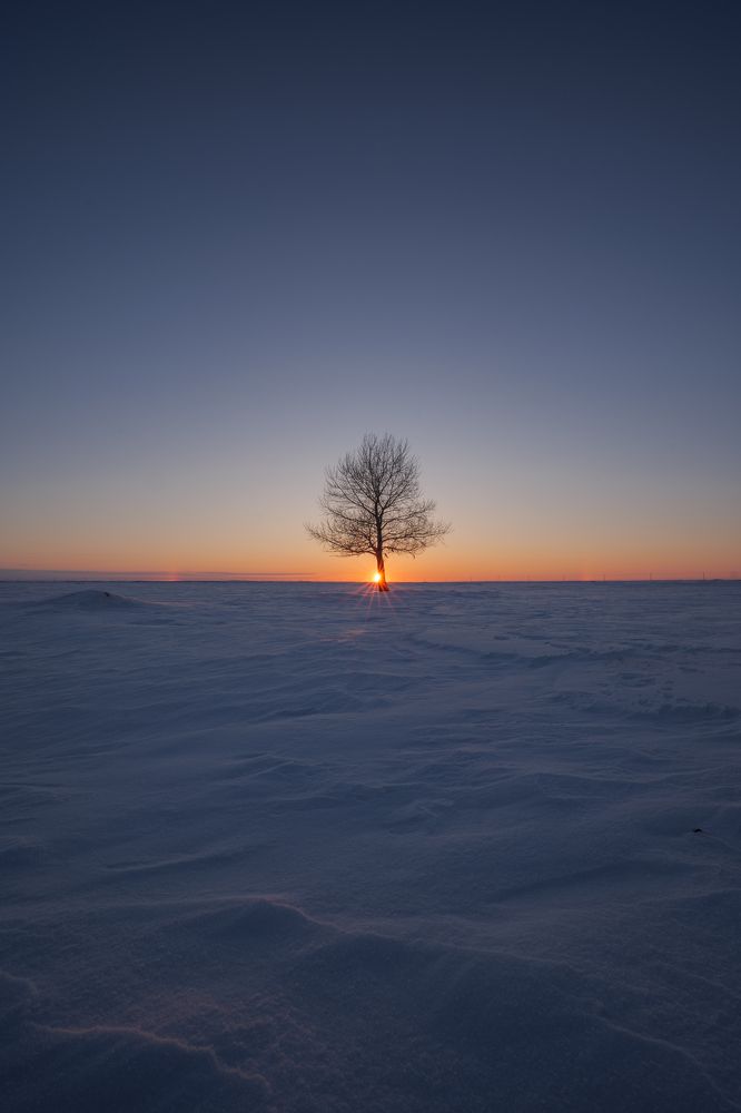 Photograph by Chen Chen