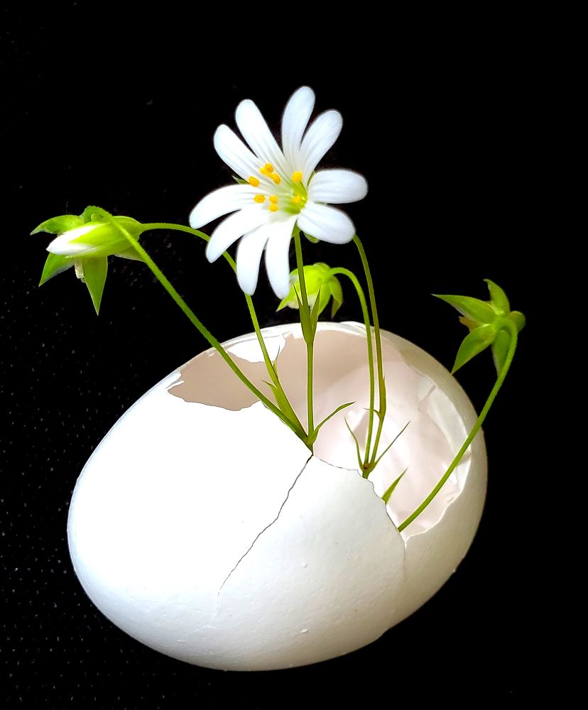 Photograph by Елена Беланенко