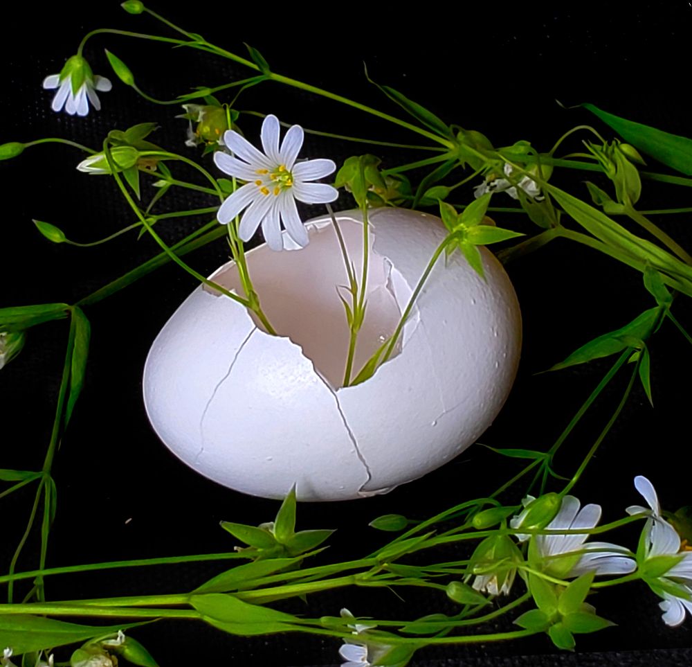 Photograph by Елена Беланенко