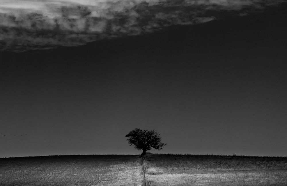 Photograph by Jorge Bagnuoli