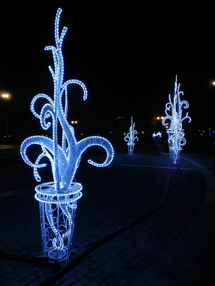 Photograph by Галина Лысых