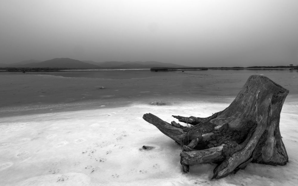 Photograph by константин