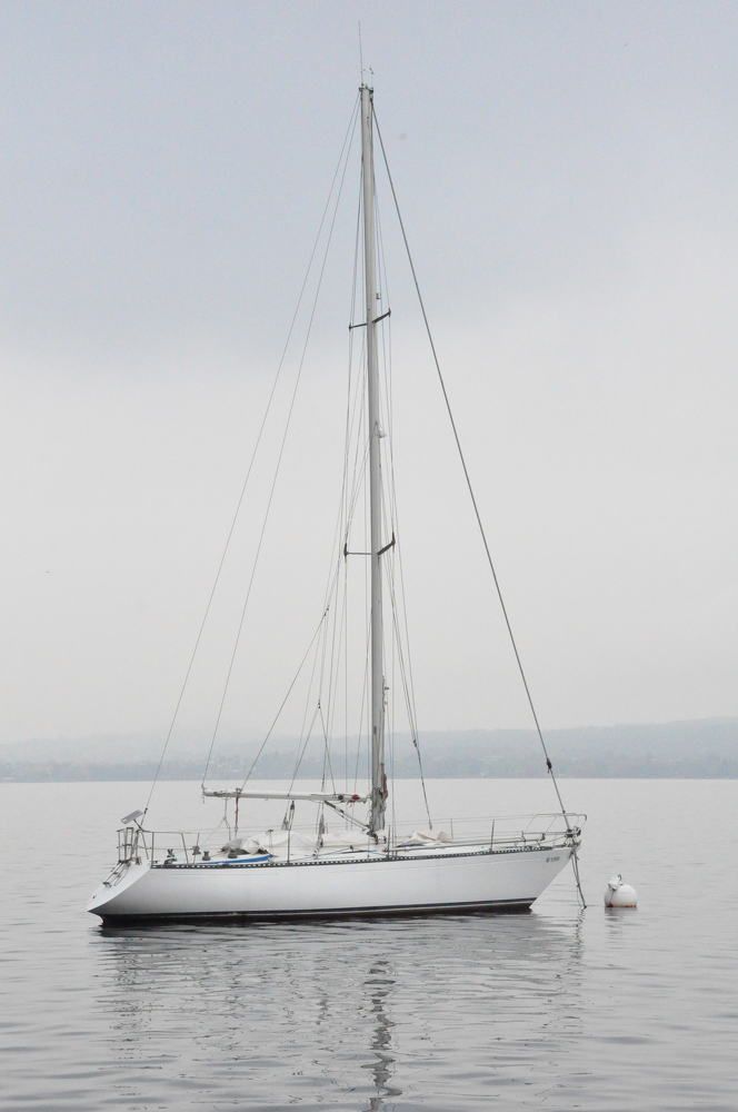 Photograph by Галина Лысых