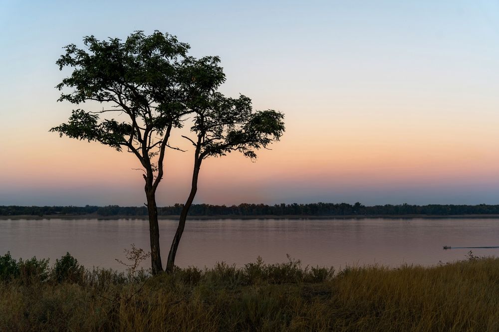 Photograph by Наталья Коржова