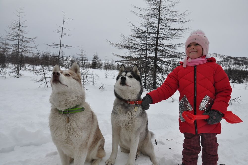 Photograph by Евгений Захаров