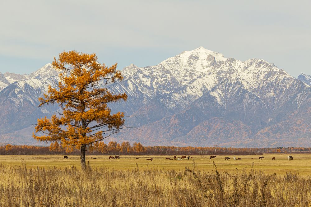Photograph by Koledova Irina