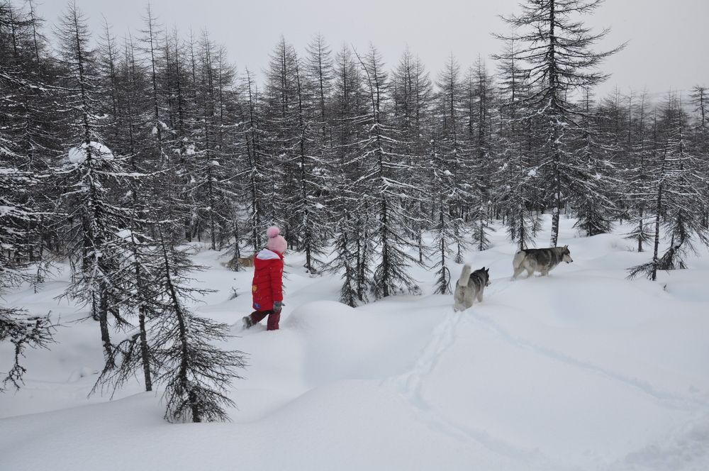 Photograph by Евгений Захаров