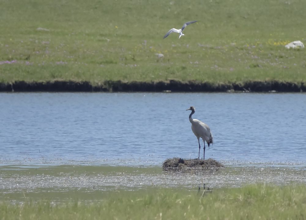 Photograph by Koledova Irina