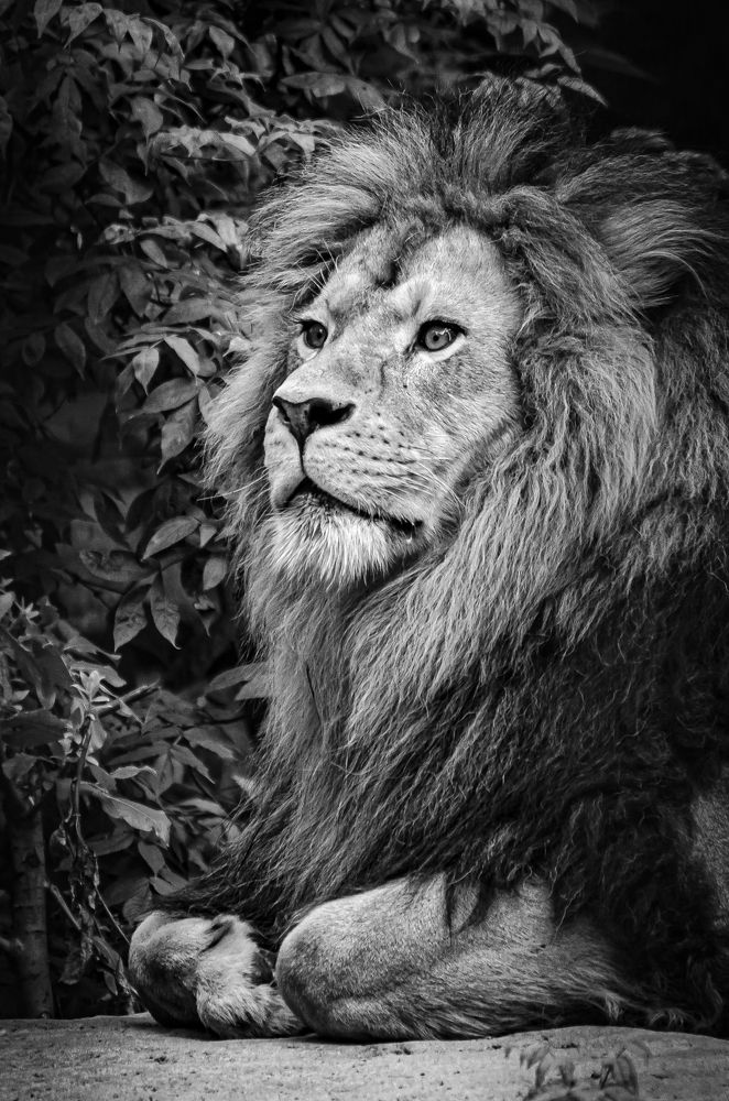 Photograph by Елена Берсенёва