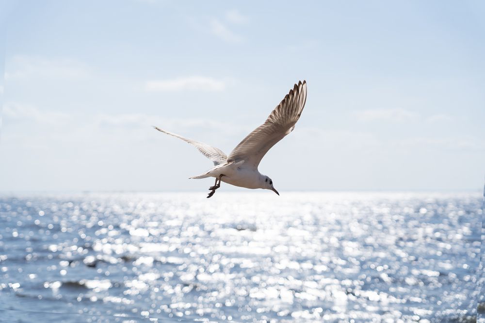 Photograph by Наталья Коржова