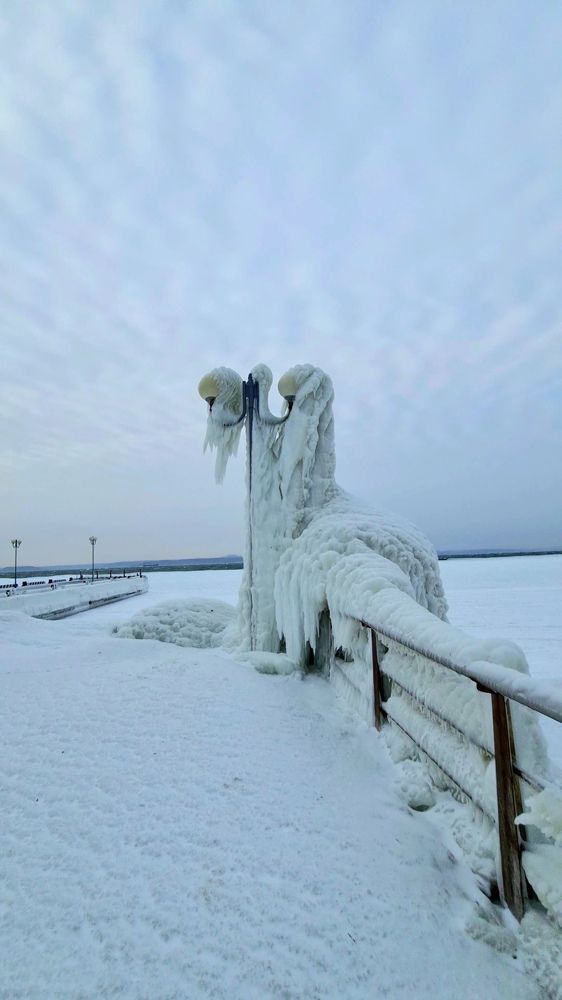 Фотография автора Наталья Владимировна