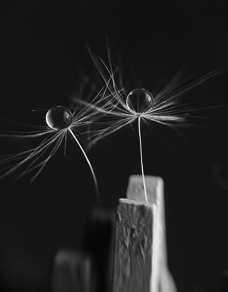 Photograph by Наталья Шумилова