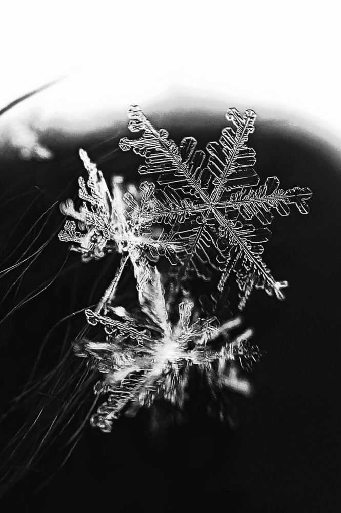 Photograph by Наталья Шумилова