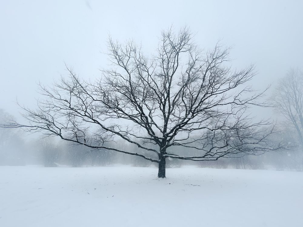 Photograph by Гордий Михаил