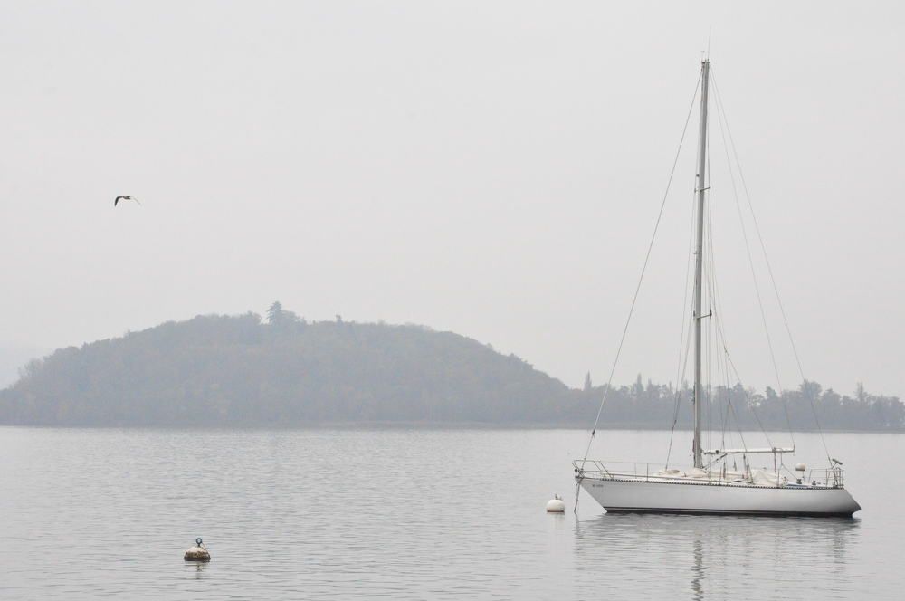 Photograph by Галина Лысых