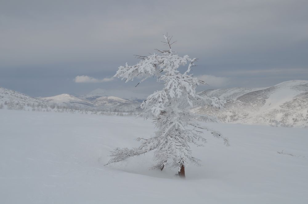 Photograph by Евгений Захаров
