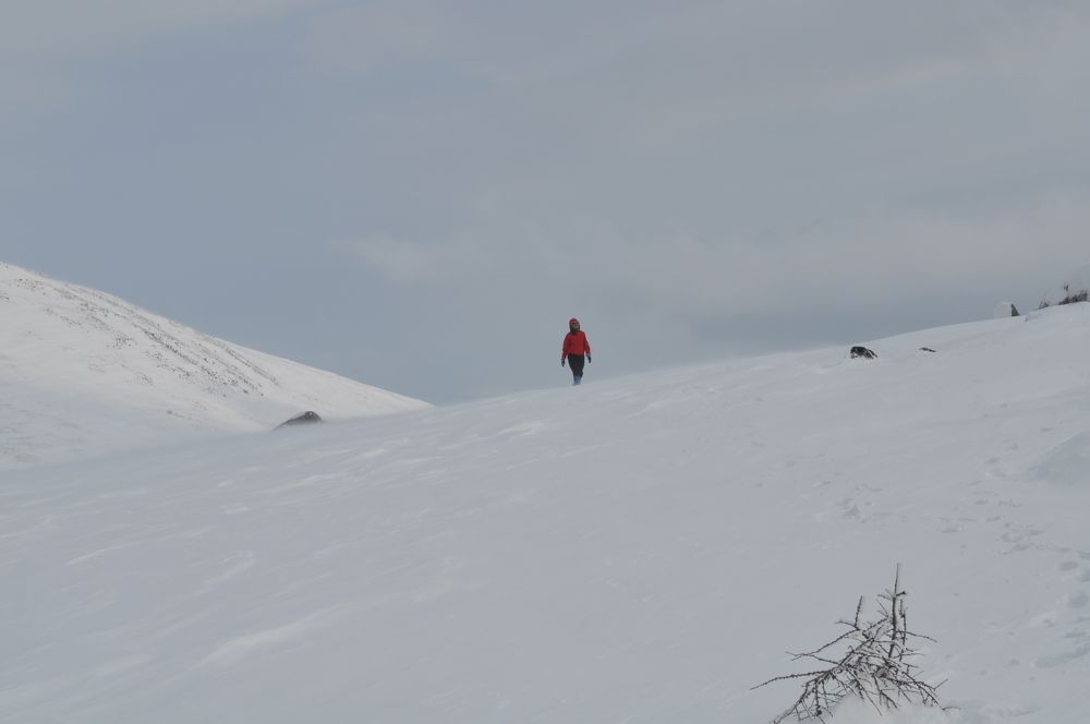 Photograph by Евгений Захаров