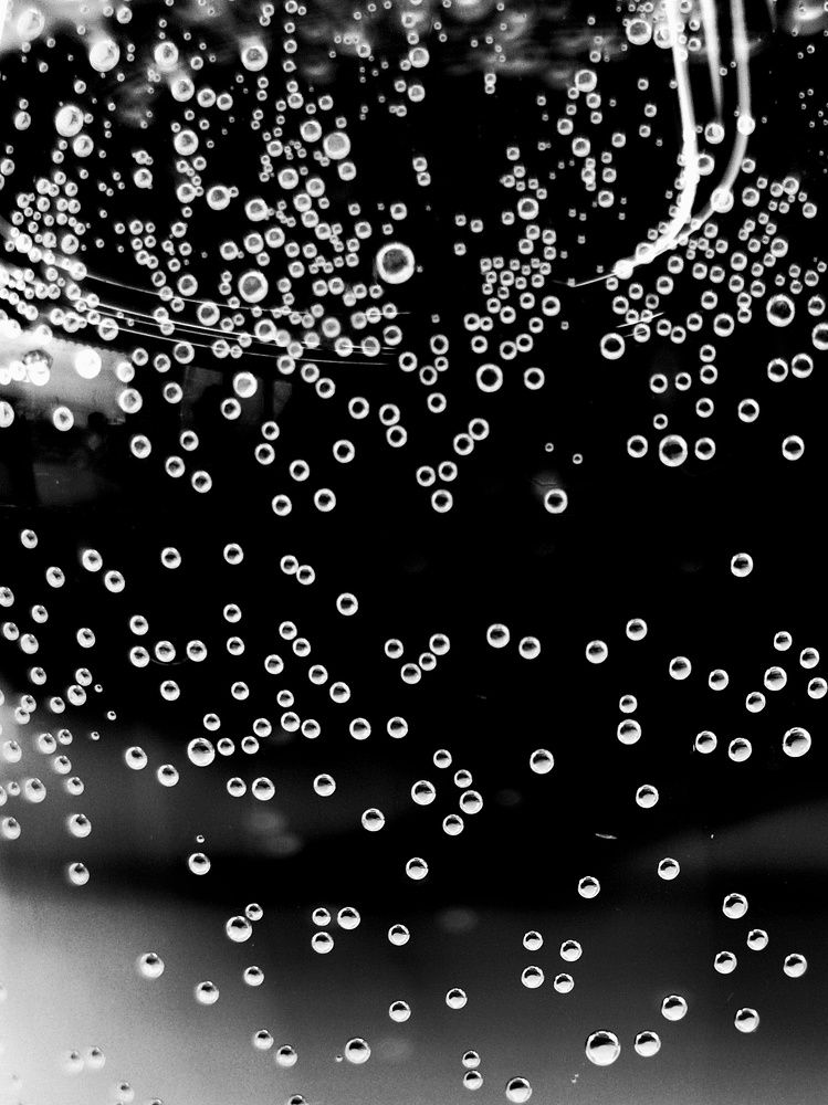 Photograph by Мария Тёмкина