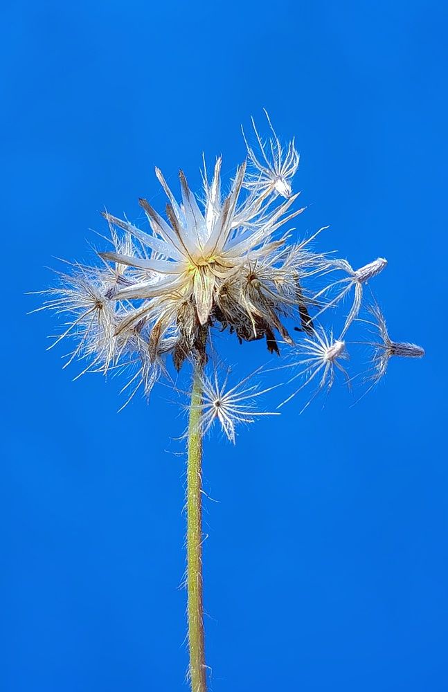 Фотография автора Ramprasad Das