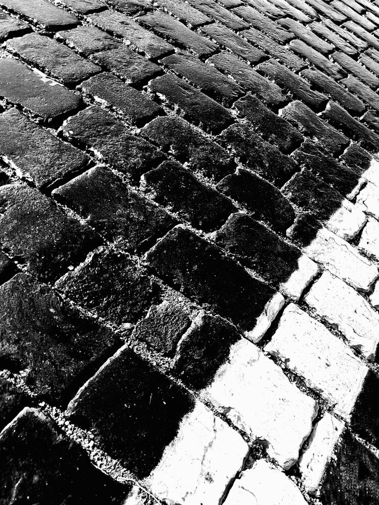 Photograph by Мария Тёмкина