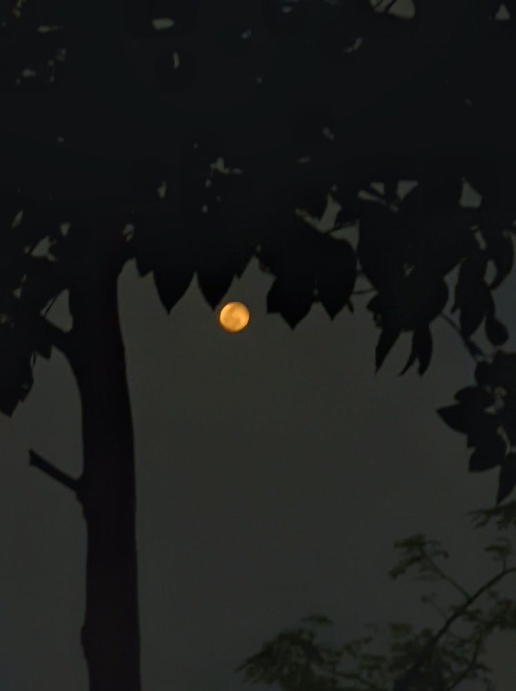 Фотография автора Ramprasad Das