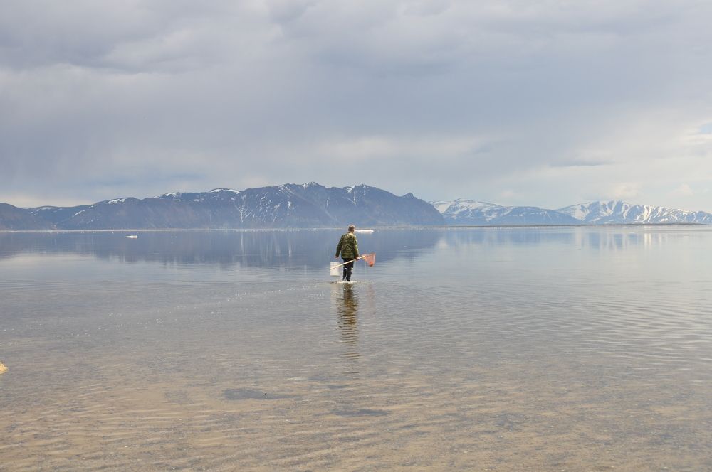 Photograph by Евгений Захаров