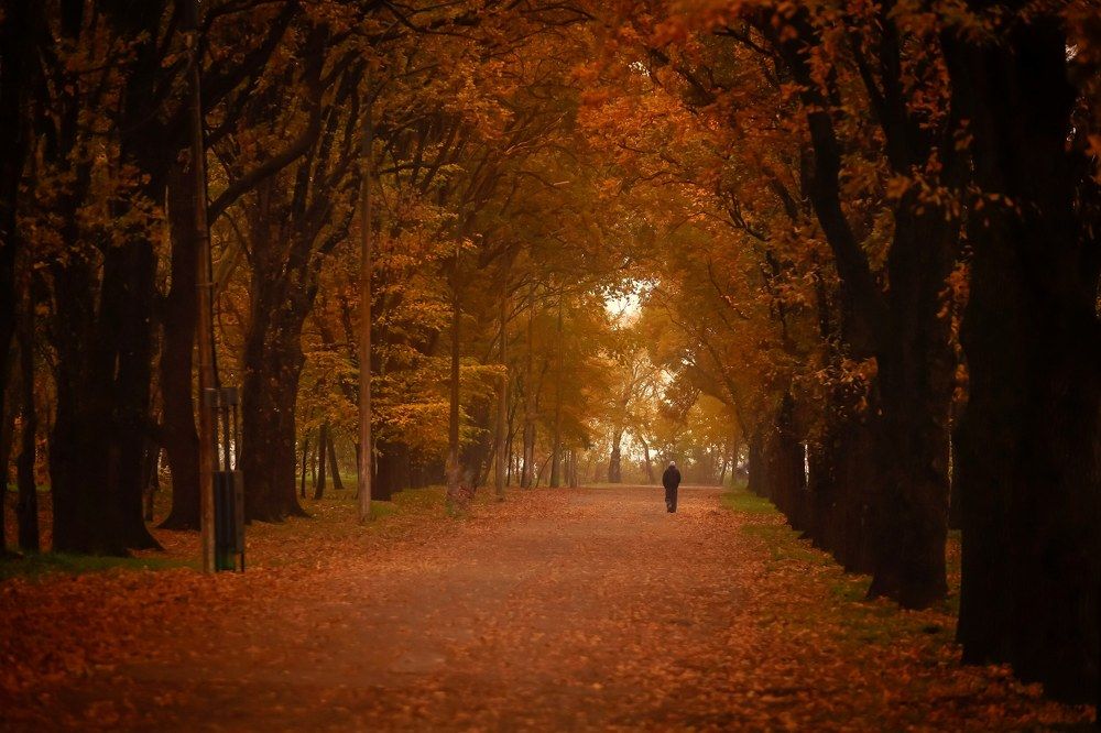 Осенний пейзаж