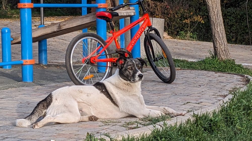 Photograph by Lilit Petrosyan