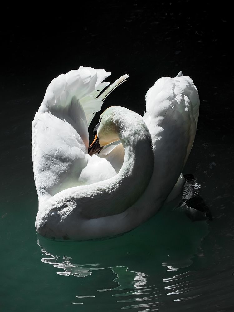 Photograph by Виталий Шмачко