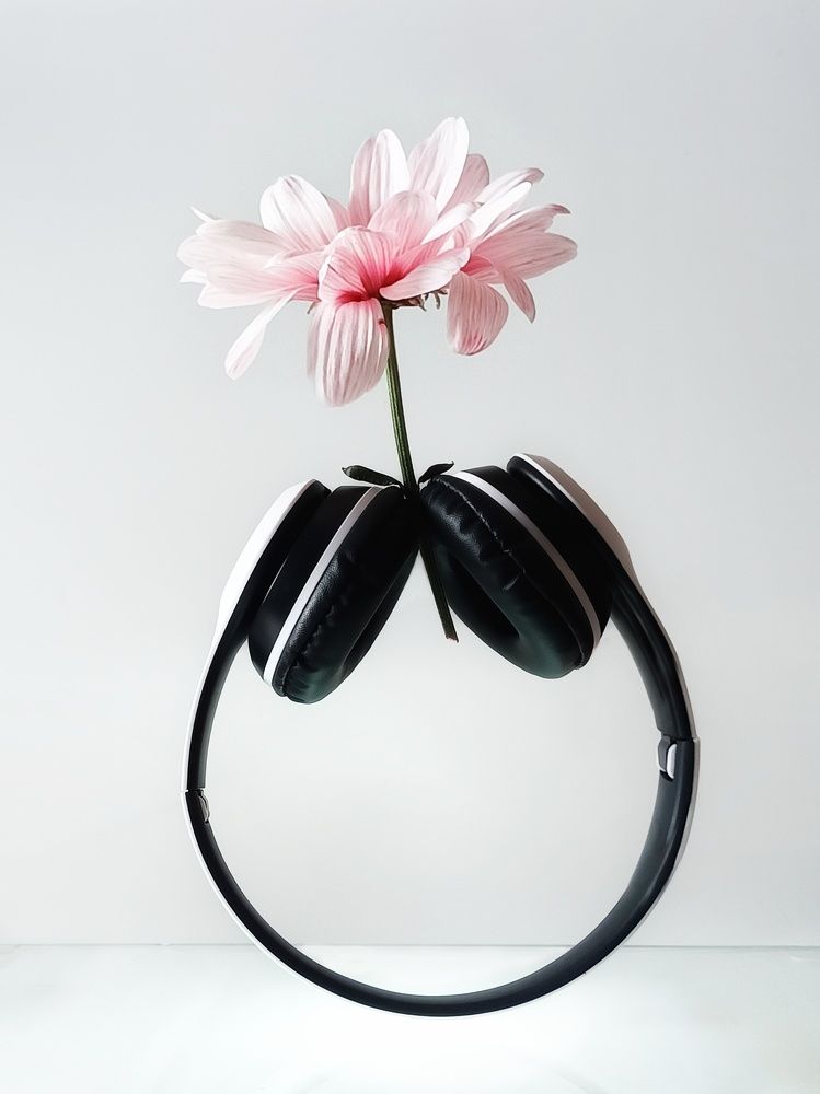 Photograph by Татьяна Шахова