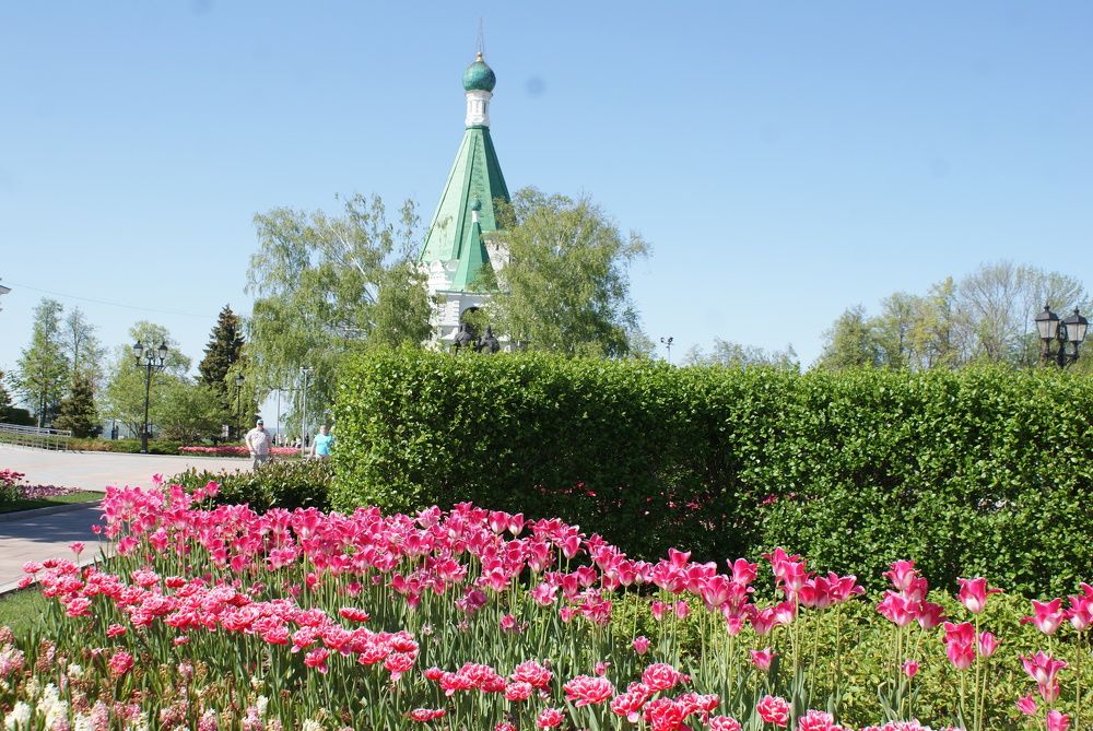 Photograph by тамара Tamara Chubuck