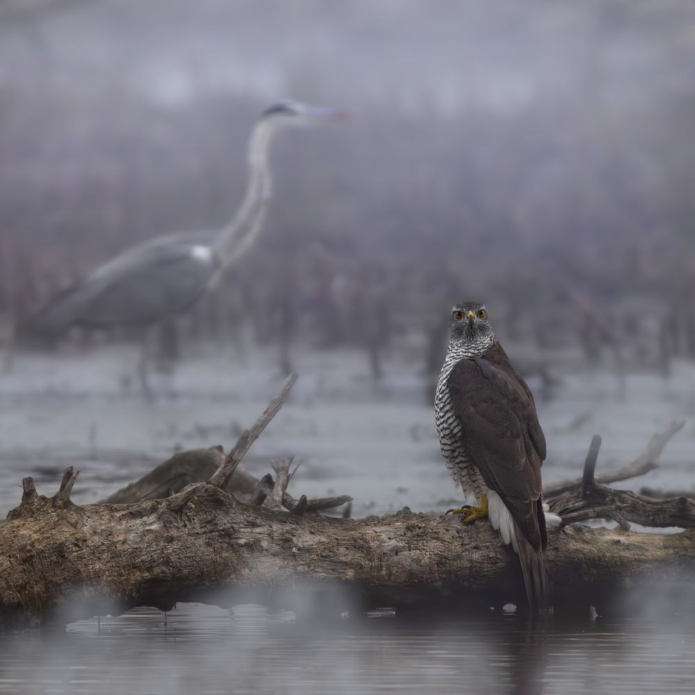 Photograph by LYUDMILA OZHIGANOVA
